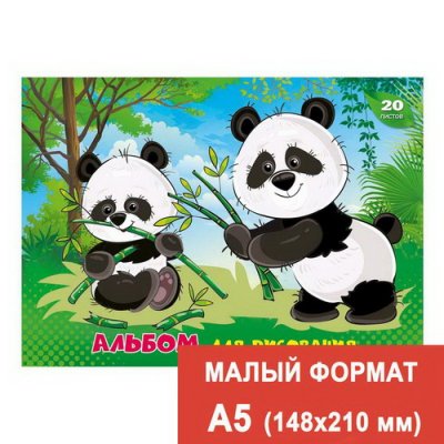 Альбом д/рис. А5 20л. ПС 