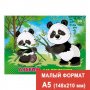 Альбом д/рис. А5 20л. ПС 