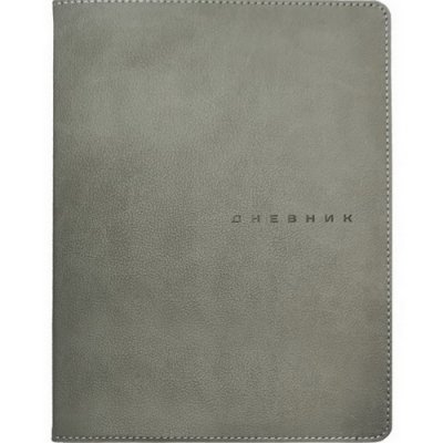 Дневник 1-11 кл. DV (кожзам) School style. Grey 0933