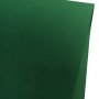 Бумага SirioColor ЛИСТ. (ИНТЕНСИВ Зеленый лист) Foglia # 1009.2426 А2 P170